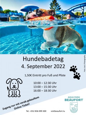 Plakat Hundeschwimmen