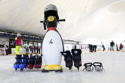 Disco on Ice - IMG 1