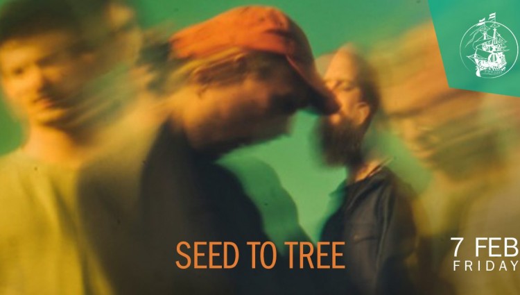 Seed to Tree - IMG 1