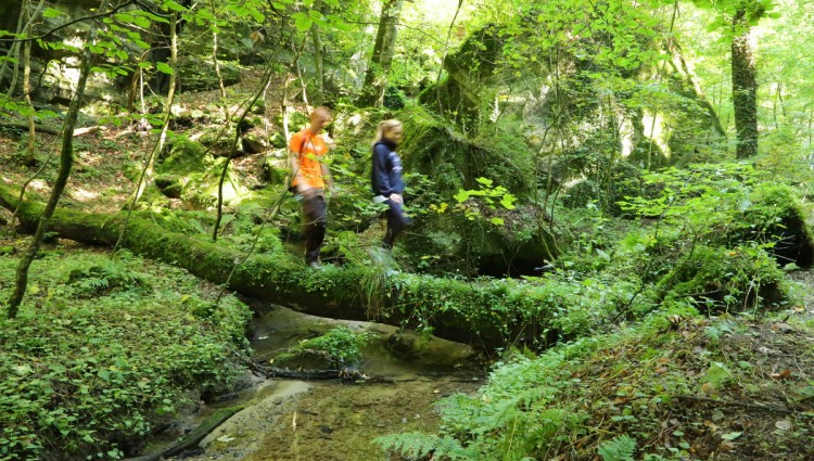 Randonnée autour de Beaufort - sur les traces de Carlo Hemmer - IMG 1