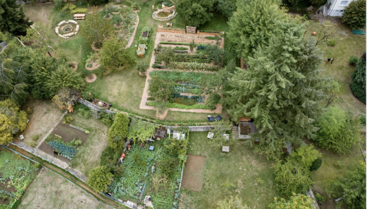 Summerfest am Generatiounsgaart Beefort - IMG 1